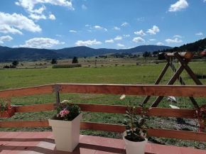 Ruralna kuća za odmor Biljana